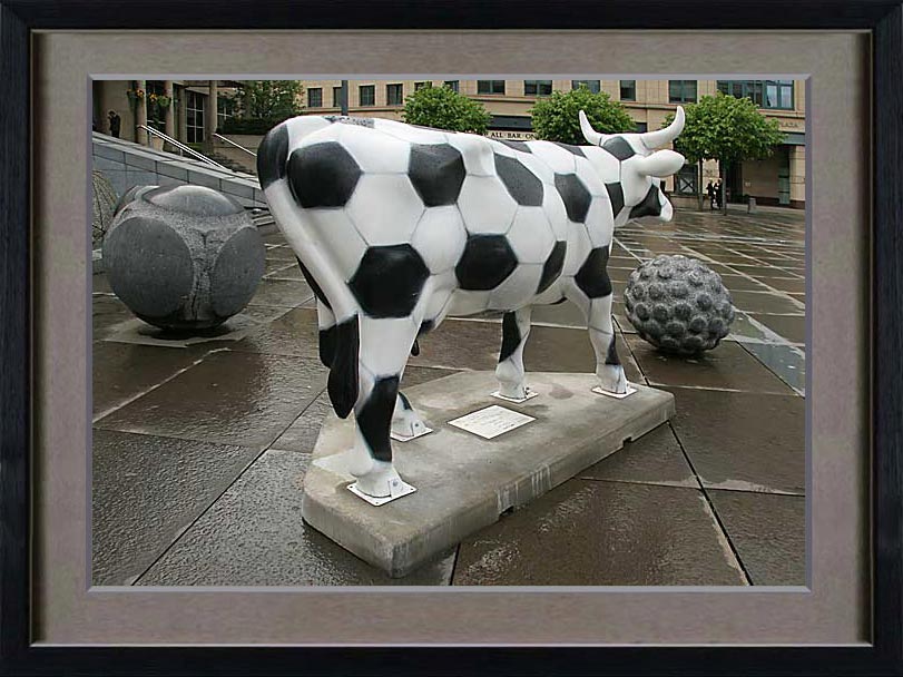 Edinburgh CowParade (May 15 to July 23 2006) by Peter Stubbs. Cow:  “Moo-Ball”